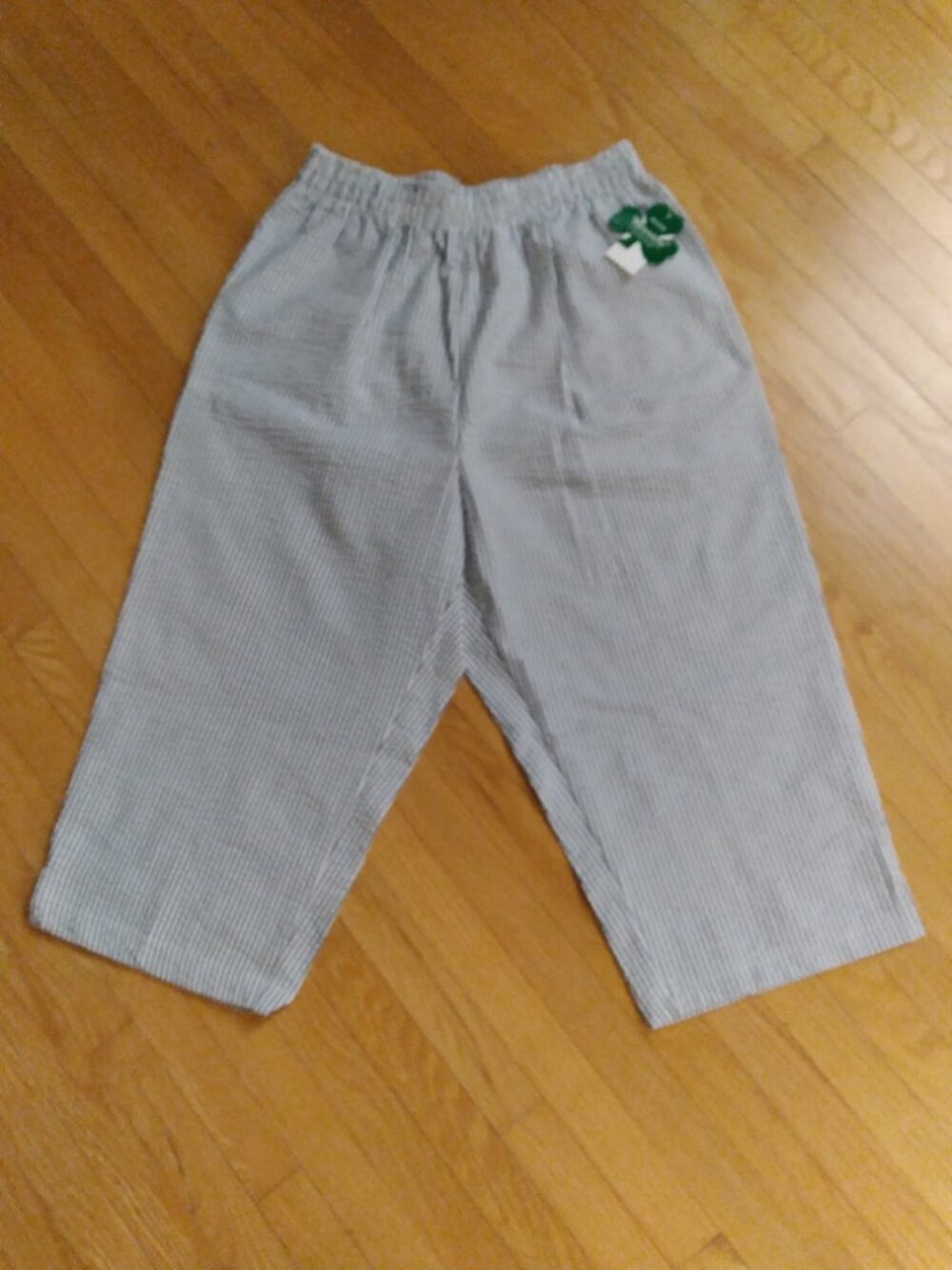 Comfortable Shorts, Elastic Waist, Shenanigans,  Size - P/L